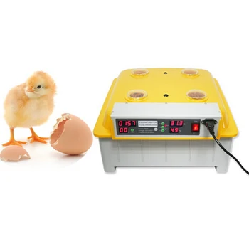 1pc 48 Horizontalus Kiaušiniai Skaitmeninis Aišku, Kiaušinių Inkubatorius Hatcher Tekinimo Temperatūros Kontrolė